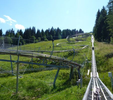 Alpine Coaster Osttirodler in Lienz | Alpenwelt rasant