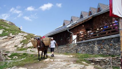 Badener Hütte auf 2.608 Metter - In der östlichen Venedigergruppe am Frosnitzkees