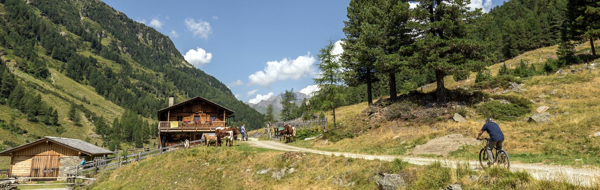 Defereggental, Radfahren und Mountainbiken, Oberhausalm, Bild NPHT TVB Osttirol_Bardelot Jean Paul