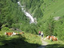 Iseltrail: Wanderungen und Rundwege