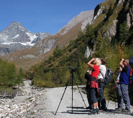 Alpengasthof Lucknerhaus in Kals am Großglockner