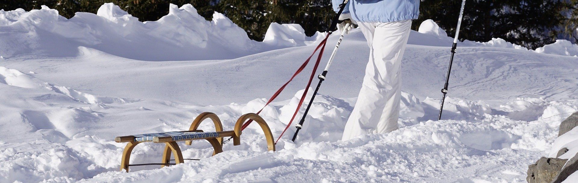 Rodeln Winterrodeln in Osttirol | © Pixapay