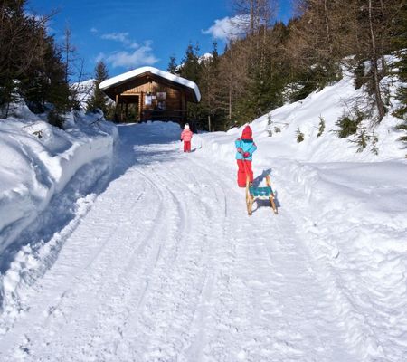 Rodeln Tillachweg Außervillgrtaen Osttirol | © TVB Osttirol / Weitlaner Jakob