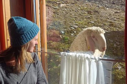 Defreggerhaus 2.963 m - Prägraten am Großvenediger