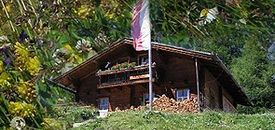 Jausenstation Wodenalm in Matrei Osttirol - Logo