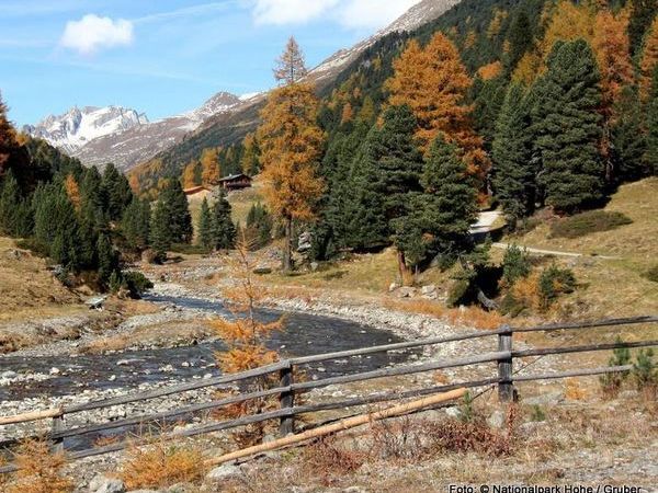 Wandern » Natur- und Kulturlehrweg Oberhauser Zirbenwald 