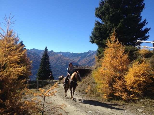 Reiturlaub in Osttirol | Bild: TVB Osttirol_Rainer Barbara