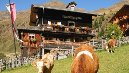 Volkzeiner Hütte (1.886m) - Bewirtschaftete Hütte und Halbpension möglich