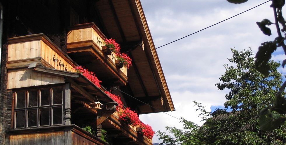 Lampeterhof ein Bergbauernhof | Ferienwohnungen in Matrei Osttirol - Tiere am Hof