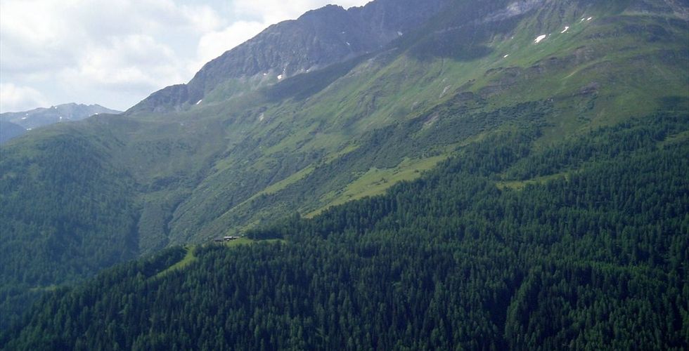 mit wunderschöner Aussicht auf Virgen in Osttirol.