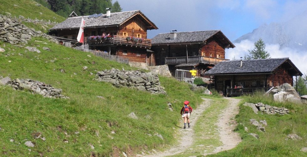 Lampeterhof ein Bergbauernhof | Ferienwohnungen in Matrei Osttirol - Tiere am Hof