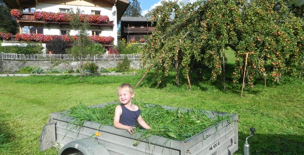 Matzenhof *** | Bauernhof mit Gästehaus in Matrei Osttirol