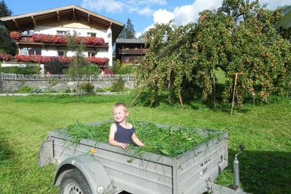 Matzenhof *** | Bauernhof mit Gästehaus in Matrei Osttirol