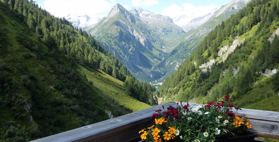 Lasnitzenhütte 1.900m | Prägraten a.G. - Lasörlinggruppe