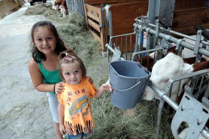 Bethuberhof Bauernhof in Matrei mit Ferienwohnungen & Zimmer