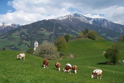 Matzenhof *** | Bauernhof mit Gästehaus in Matrei Osttirol