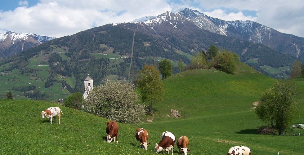 Matzenhof *** | Bauernhof mit Gästehaus in Matrei Osttirol