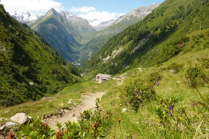 Muhs Panoramaweg | von der Bergerseehütte zur Lasnitzenhütte