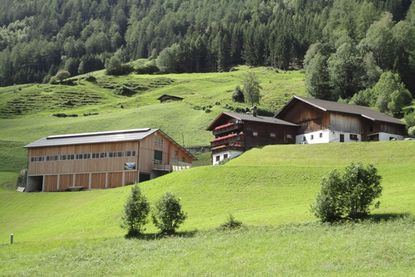 Bethuberhof Bauernhof in Matrei mit Ferienwohnungen & Zimmer