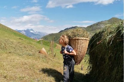 Merschenalm 2.248 m – Lasörlingweg Virgen | Osttirol