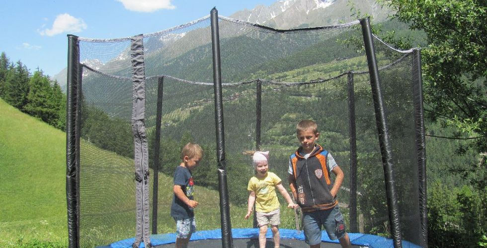 Lampeterhof ein Bergbauernhof | Ferienwohnungen in Matrei Osttirol - Tiere am Hof