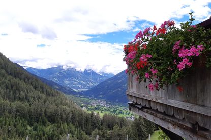 Almhütte Goisnalm 1.620m - Virgen