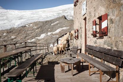 Neue Prager Hütte – Großvenediger-Tour | Osttirol