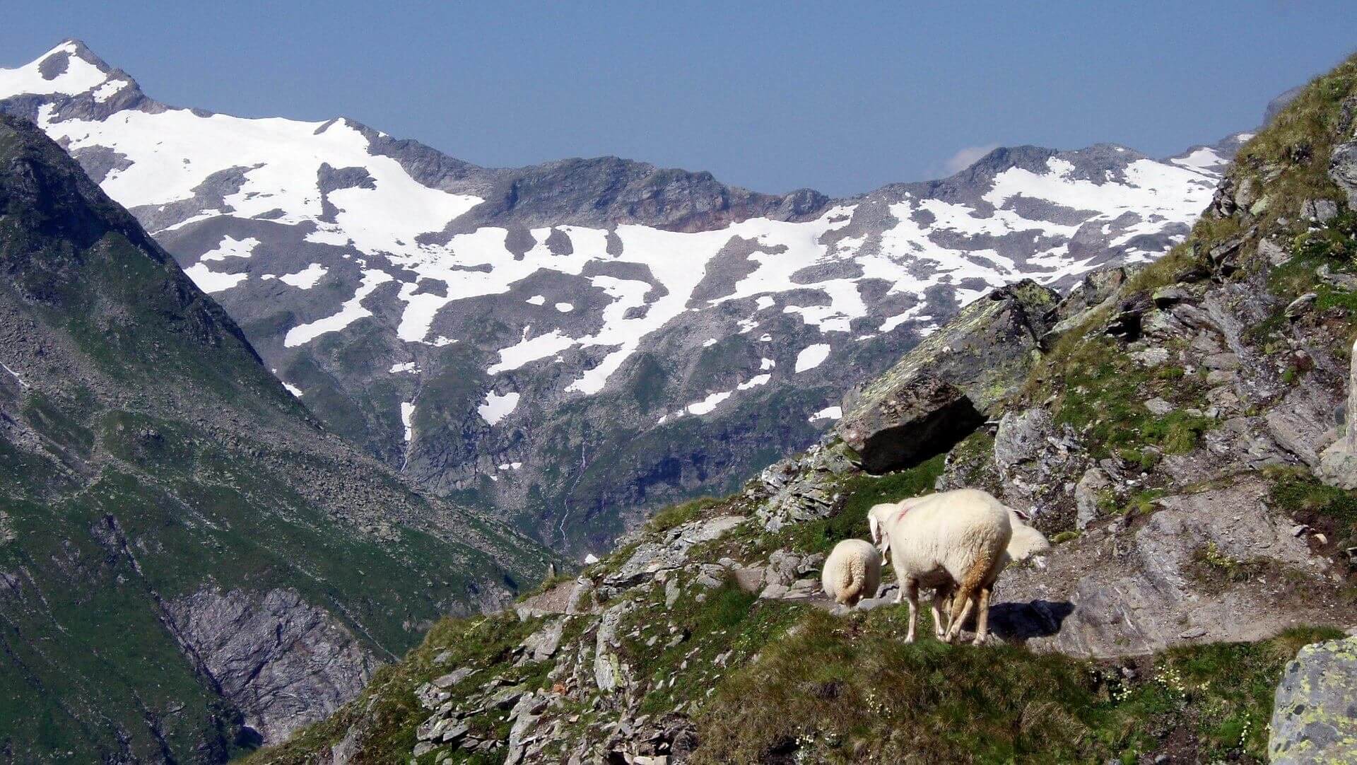 Venediger Höhenweg in Osttirol Bildgalerie